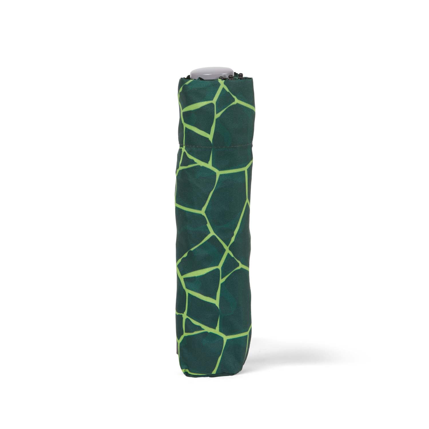 ergobag Schulzubehör Regenschirm BärRex ergobag Schulzubehör Regenschirm BärRex