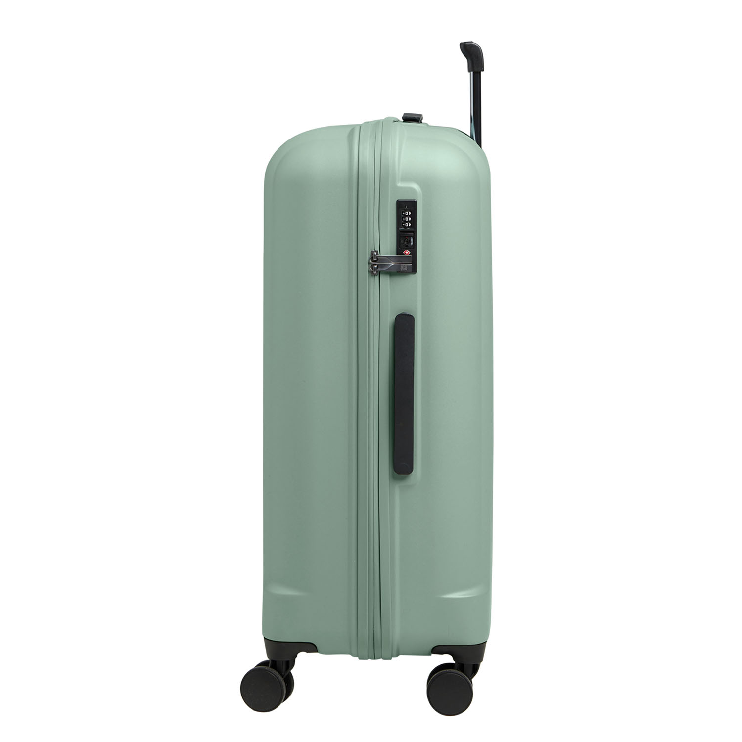 GOT BAG RE:Shell Checked reef GOT BAG RE:Shell Checked reef