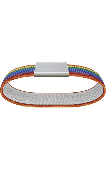 Secrid Moneyband Ergänzung zum Cardprotector MB-Rainbow