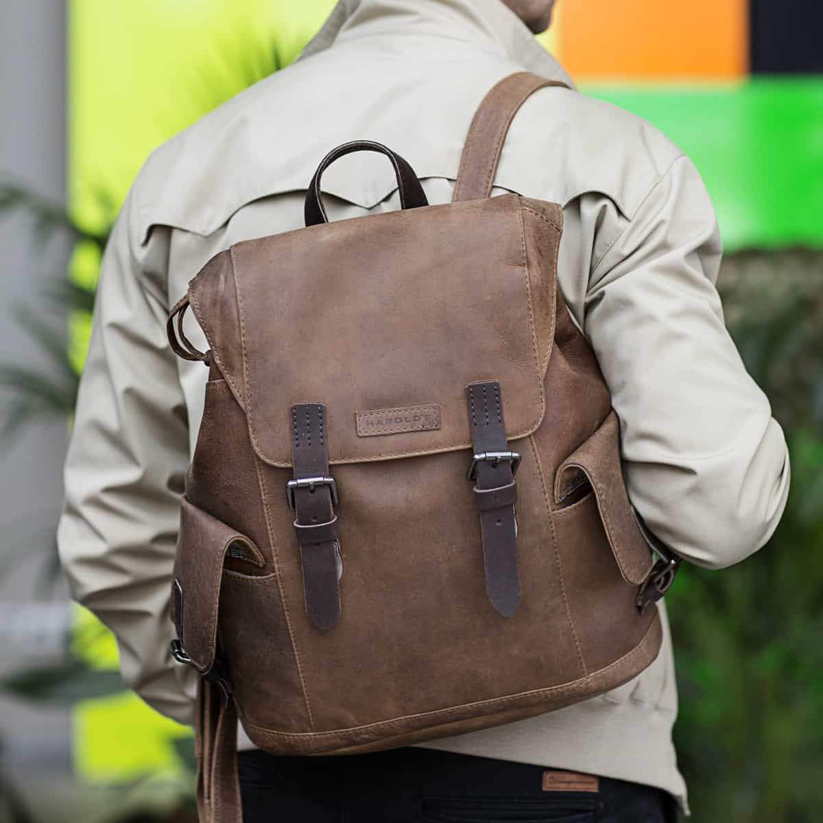 Harold's Antic Casual Rucksack natur