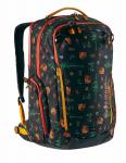 Eagle Creek Wayfinder Backpack 40L Golden State jetzt online kaufen