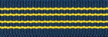 Slim6 Strap -Elastikband blau/gelb