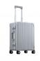 Aleon Traveler Suiter Domestic Carry-On 21", mit Kleidersack Silber