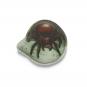 ergobag Kletties Blinkie mit LED (1-tlg.) Spinne