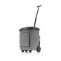 Reisenthel Shopping carrycruiser plus Twist silver