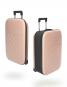 Rollink Flex Vega II 21" International Carry-On Suitcase Rose Smoke