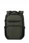 Samsonite Pro-DLX 6 Rucksack 15.6" Grün