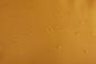 THULE Chasm Reisetasche/Rucksack 40Liter Golden