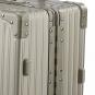 Aleon Trunk International 30" Platin - Silber