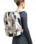 D_b_ Ramverk Backpack 21L Line Cluster 01