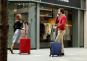Aleon Business Vertical Carry-On 20" Silber
