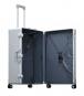 Aleon Traveler Macro mit Kleidersack 30" Platin - Silber