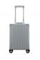 Aleon Vertical Carry-On Business 21" Platin - Silber