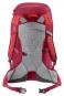 Deuter AC Lite 30 Wanderrucksack cherry-masala