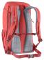 Deuter Walker 24 Lifestyle Rucksack currant-redwood