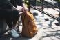 Dakine Tardy Slip Backpack 25L