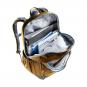Deuter School Cotogy Schulrucksack almond