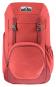 Deuter Walker 24 Lifestyle Rucksack currant-redwood