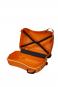 Samsonite Dream2go Ride-On Suitcase mit  4 Rollen Tiger T.