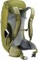 Deuter AC Lite 24 Wanderrucksack linden-cactus