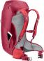 Deuter AC Lite 30 Wanderrucksack cherry-masala