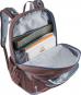 Deuter School Cotogy Schulrucksack ashrose-ink