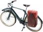 Deuter Xberg 25 Fahrradrucksack raisin-caspia
