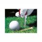 Victorinox GolfTool blau transparent