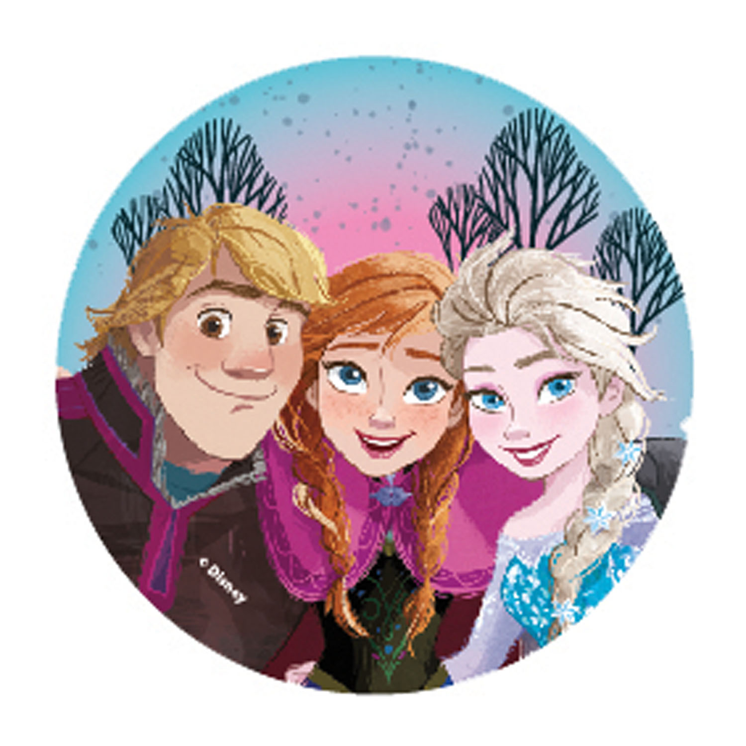 McNeill Schulzubehör McAddy -Kollektion Disney FROZEN -12